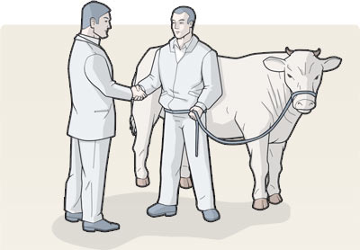 Pazar hazırlıklarına başlandı, işte kurban fiyatları