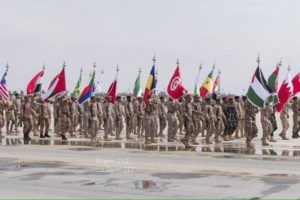 12799381_1053325444705687_1142272906511449600_n